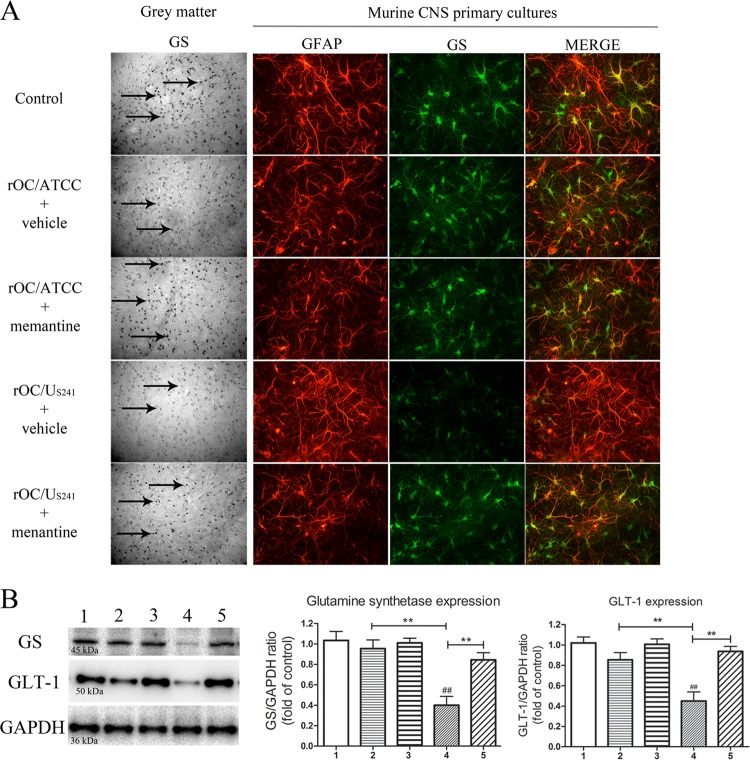 FIG 6