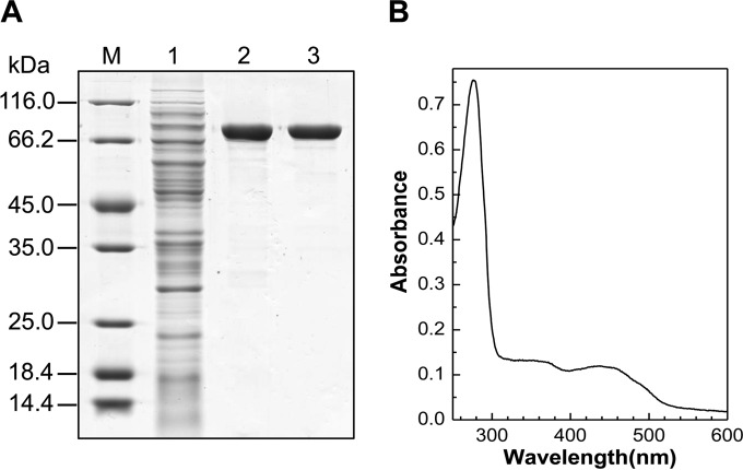 FIG 6