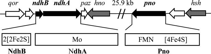 FIG 3