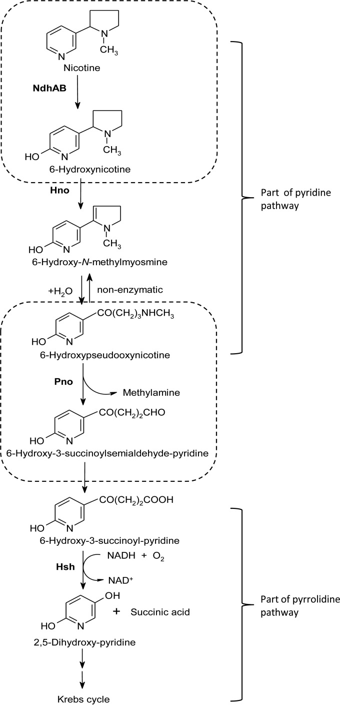 FIG 1