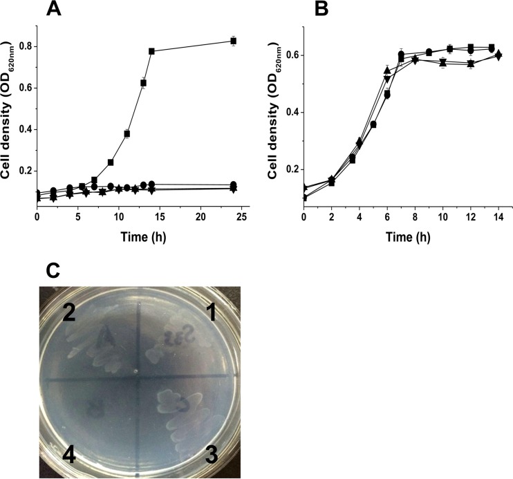 FIG 5