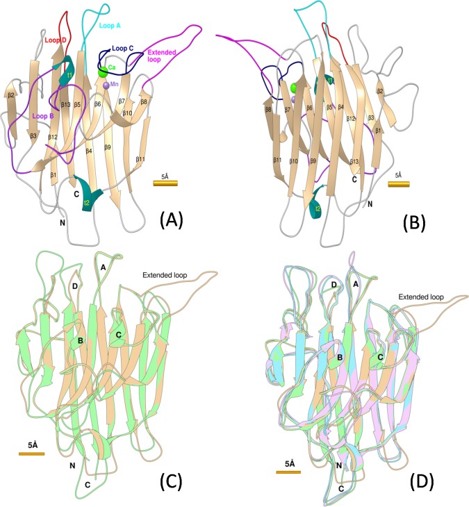 Fig 4