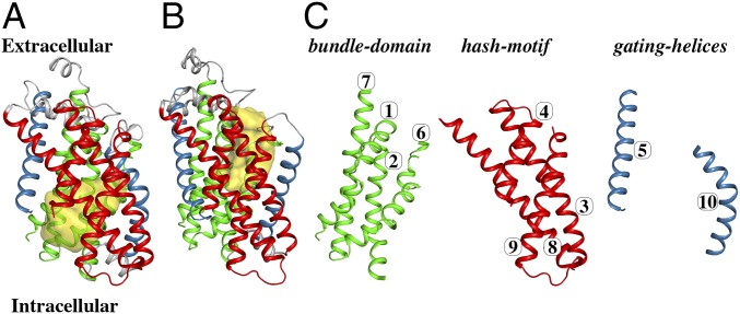 Fig. 1.