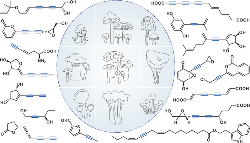 graphic file with name 13659_2023_416_Figa_HTML.jpg