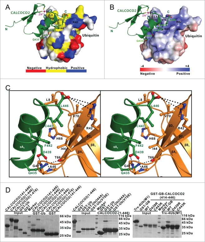 Figure 4 (See previous page).