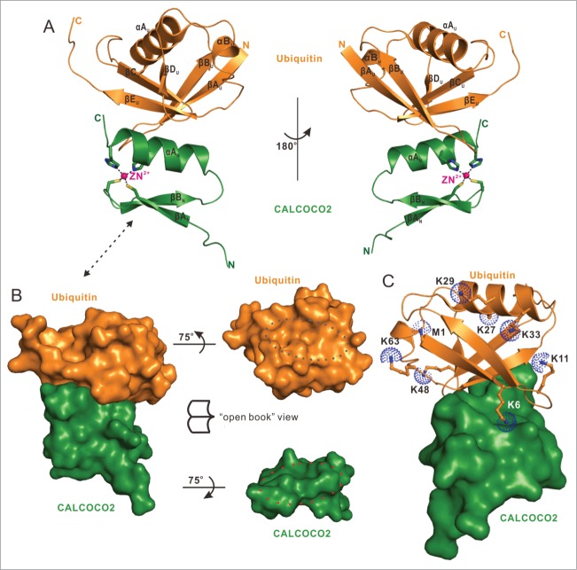 Figure 3.