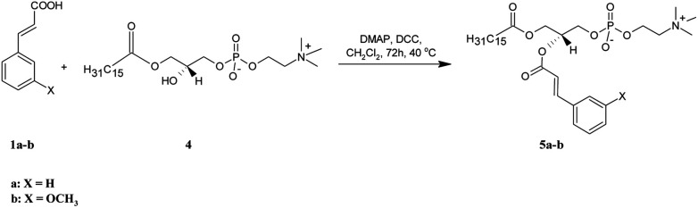 Scheme 2