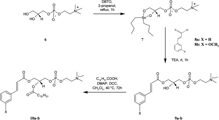 Scheme 3