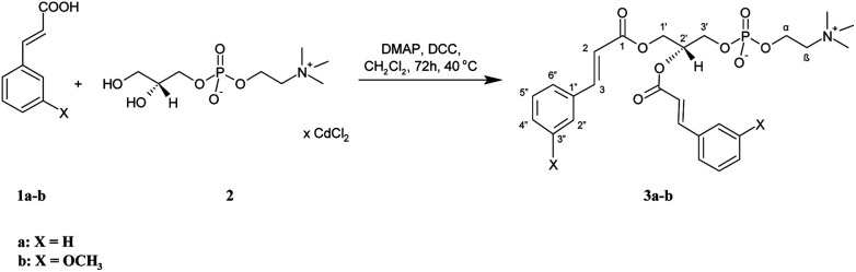 Scheme 1