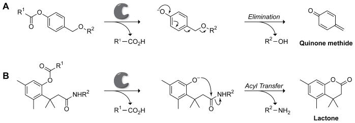 Scheme 2