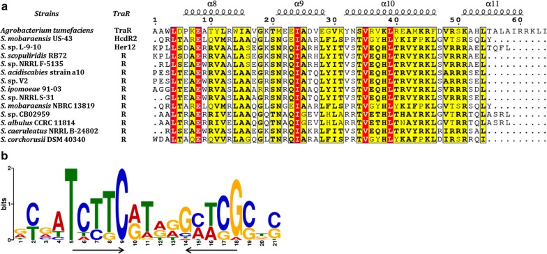 Fig. 4