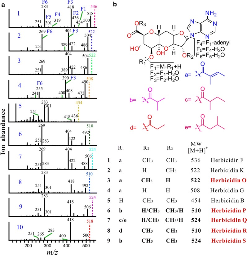 Fig. 7