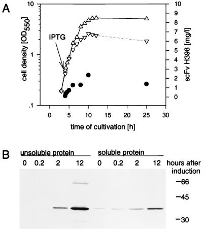 FIG. 1