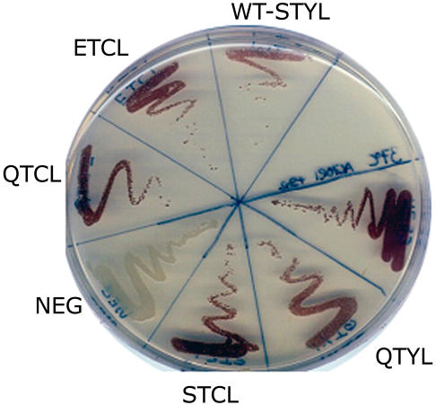 Figure 2.