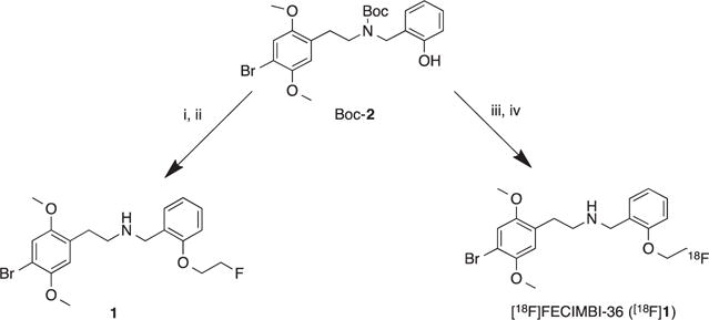 Scheme 1