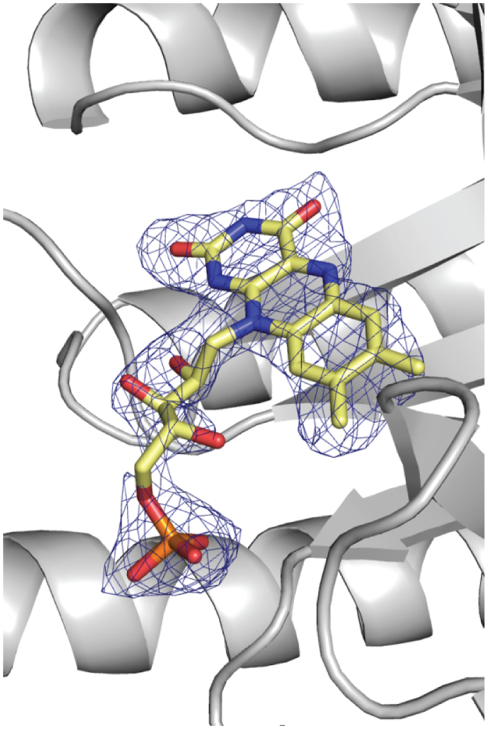 Figure 9