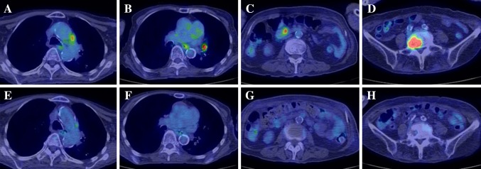 Fig. 1