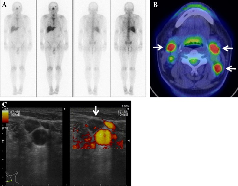 Fig. 3