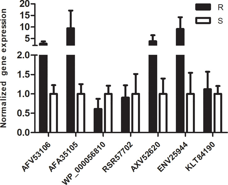 Figure 6