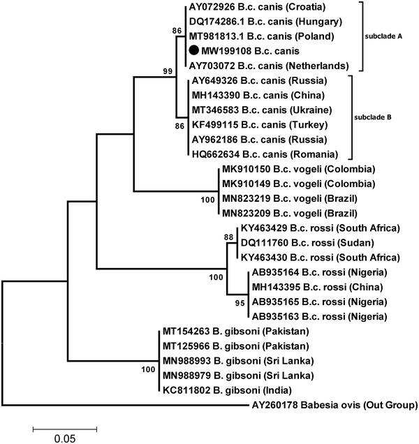 FIGURE 2