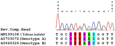 FIGURE 3