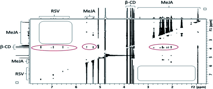 Fig. 10