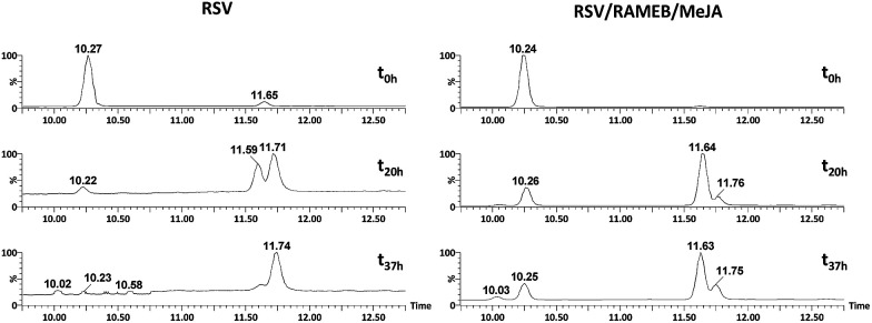 Fig. 12