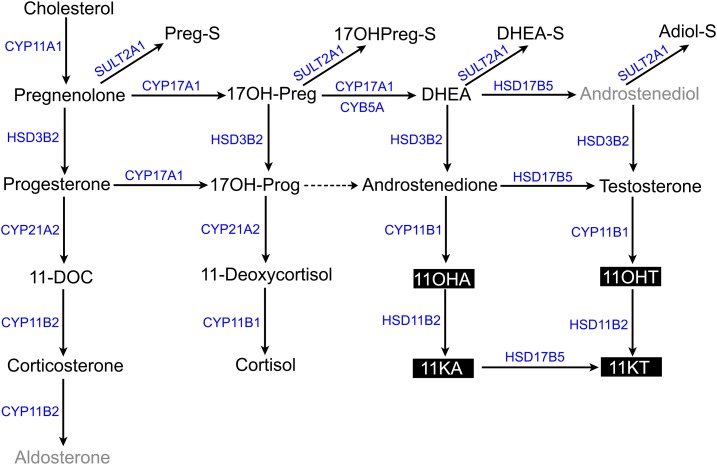 Figure 1.