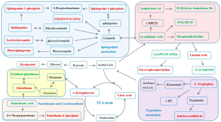 Figure 12