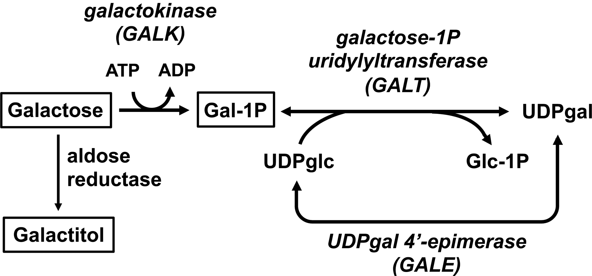 Figure 1: