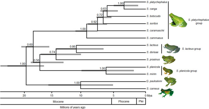 FIGURE 2