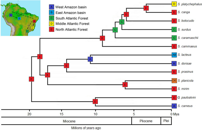 FIGURE 3