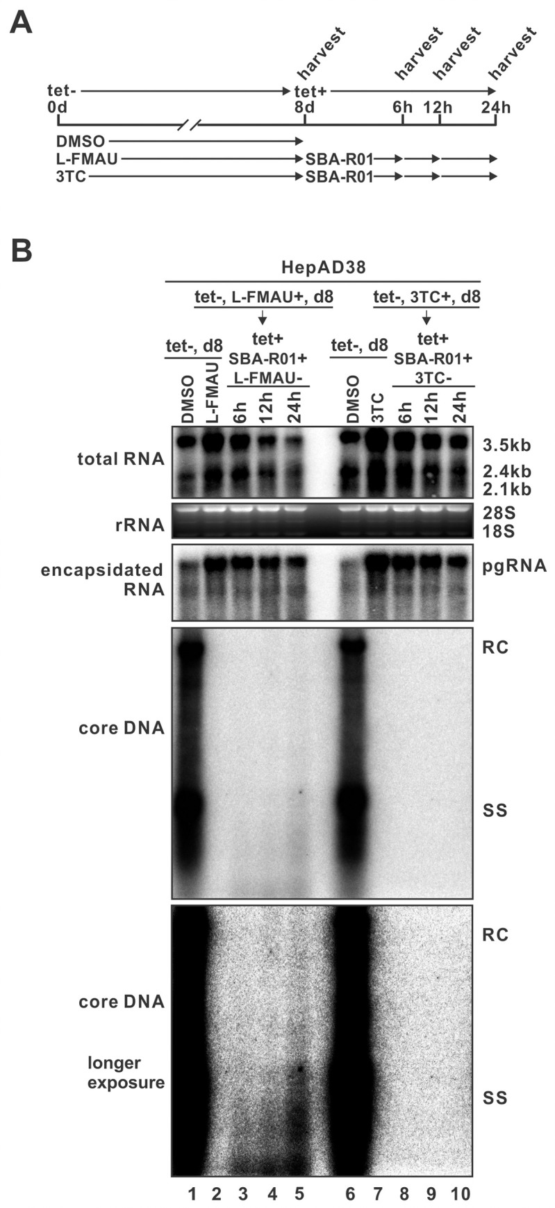 Fig 8