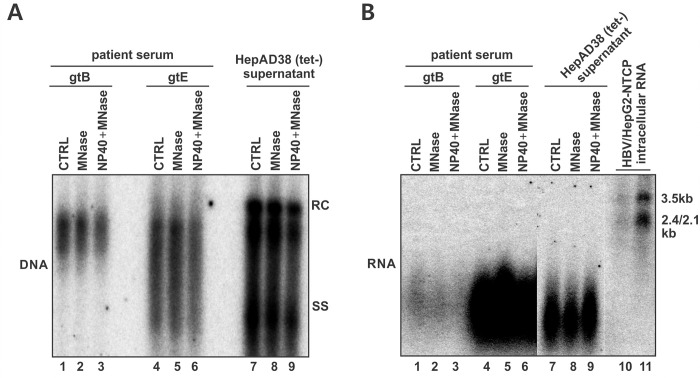 Fig 5