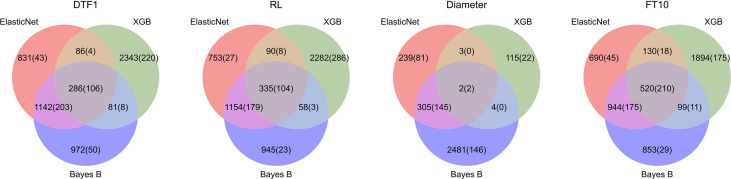 Figure 4