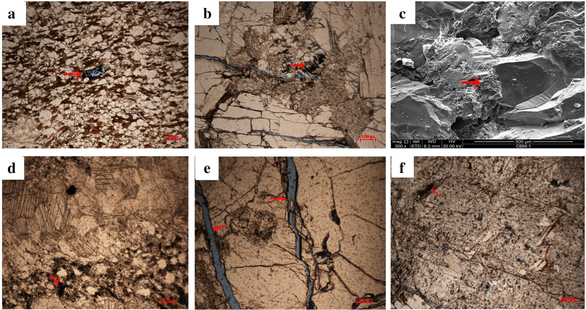 Fig. 10