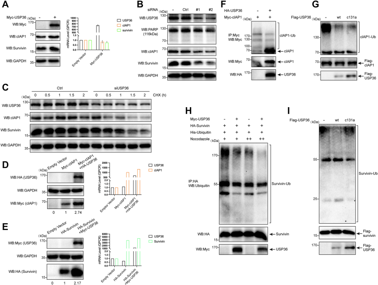 Figure 6