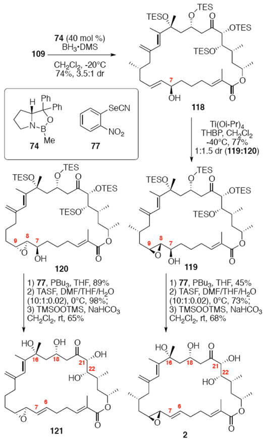 Scheme 20