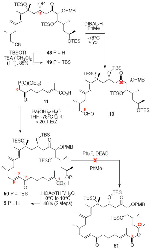 Scheme 8