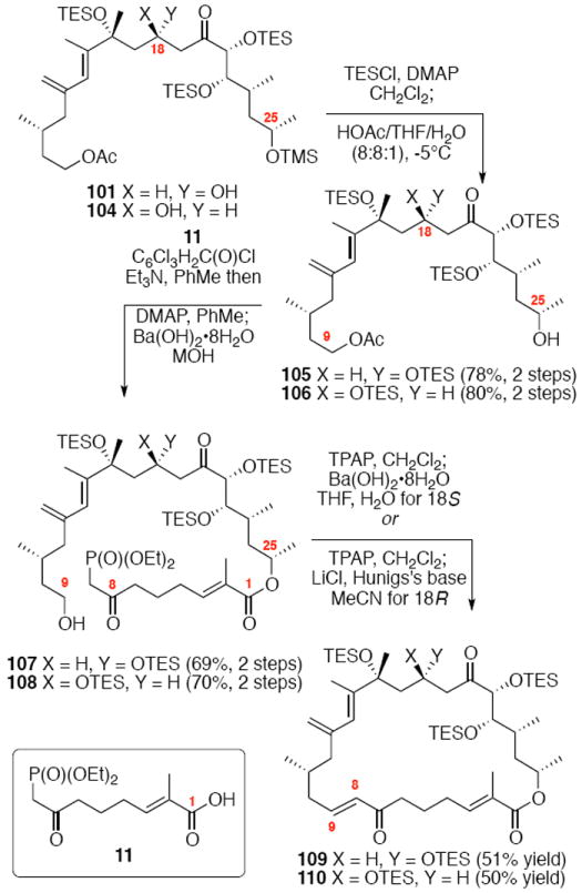 Scheme 18