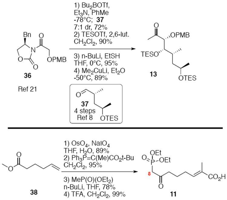 Scheme 5