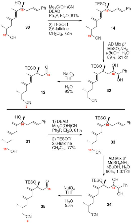 Scheme 4