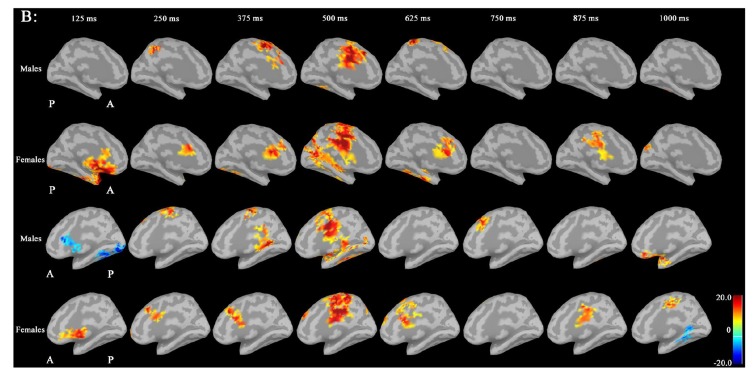 Fig. (1B)