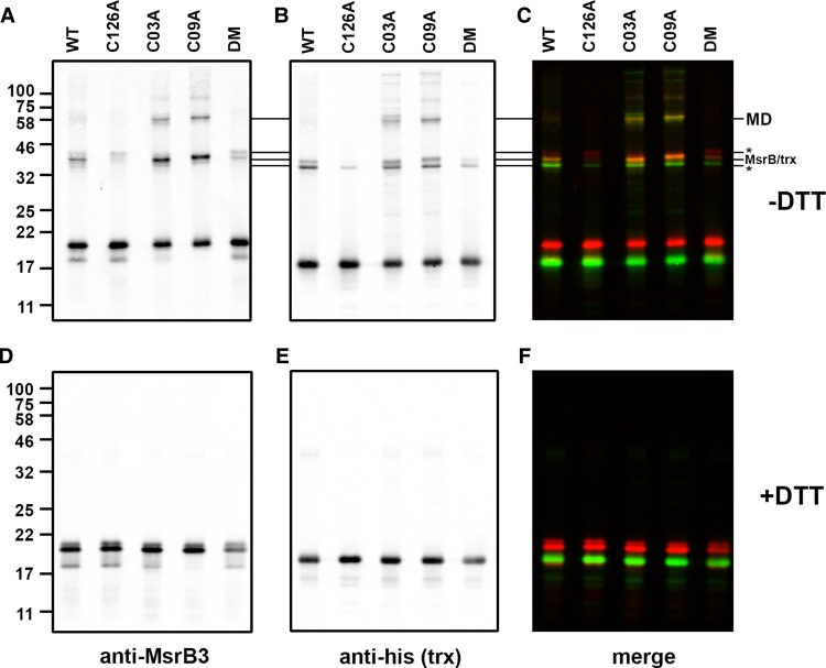 Figure 4.