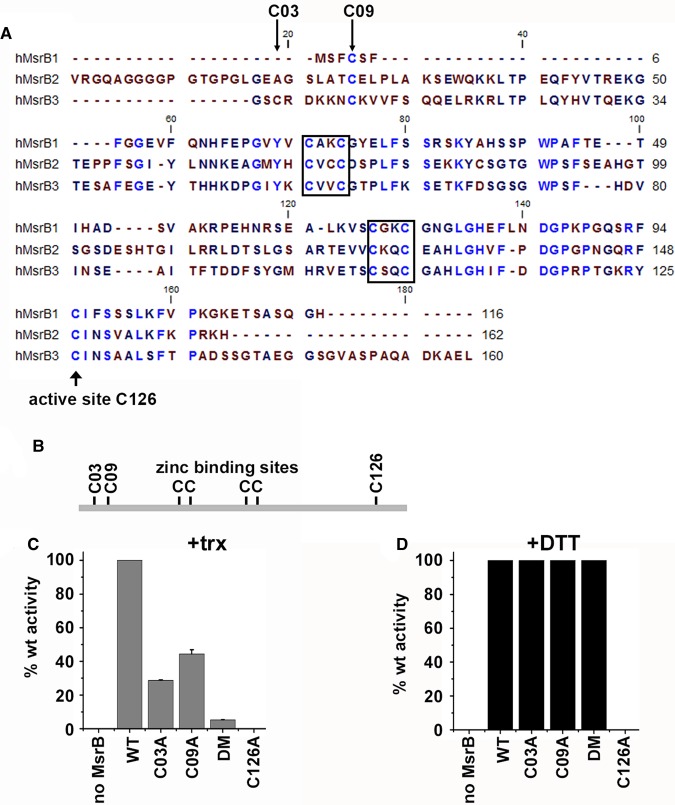 Figure 2.