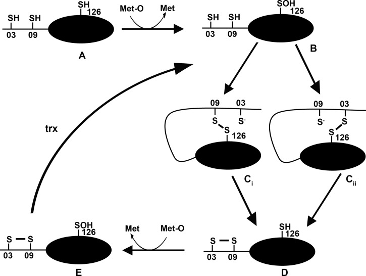 Figure 6.