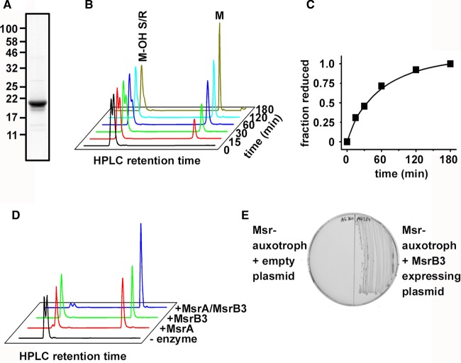 Figure 1.