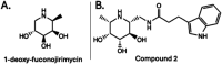 Fig. 9