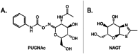 Fig. 11