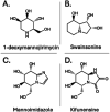 Fig. 12